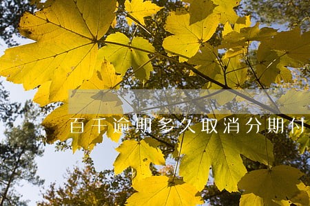 百千逾期多久取消分期付款 百千逾期多久取消分期付款