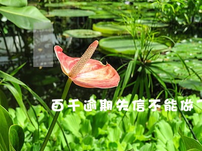 百千逾期失信不能做飞机吗 百千逾期失信不能做飞机吗