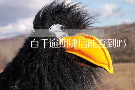百千逾期捷信能查到吗 百千逾期捷信能查到吗