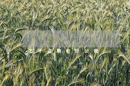 百千逾期收账公司 百千逾期收账公司