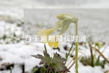 百千逾期最长时间 百千逾期最长时间