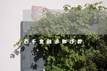 百千金融逾期还款 百千金融逾期还款