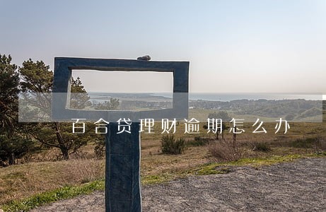 百合贷理财逾期怎么办 百合贷理财逾期怎么办
