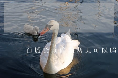 百城贷款逾期两天可以吗 百城贷款逾期两天可以吗