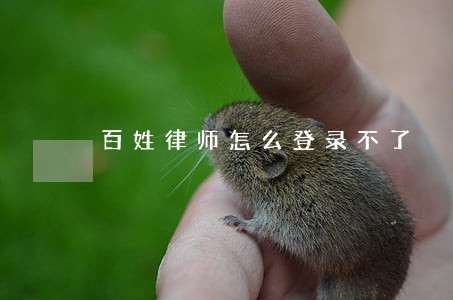 百姓律师怎么登录不了 百姓律师怎么登录不了