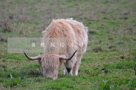 百姓相信法律 百姓相信法律