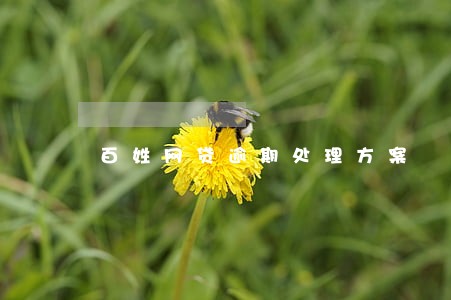 百姓网贷逾期处理方案