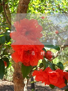 百姓金融贷款发短信说逾期 百姓金融贷款发短信说逾期