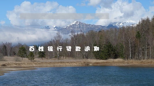 百姓银行贷款逾期 百姓银行贷款逾期