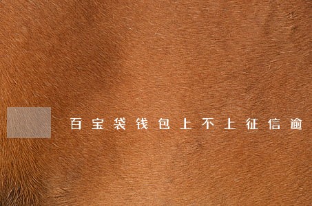 百宝袋钱包上不上征信逾期不还