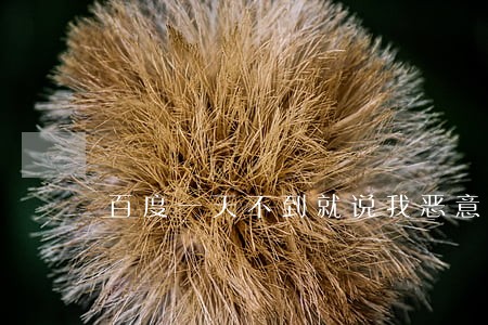 百度一天不到就说我恶意逾期 百度一天不到就说我恶意逾期