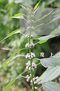 百度上贷款逾期还能借吗 百度上贷款逾期还能借吗