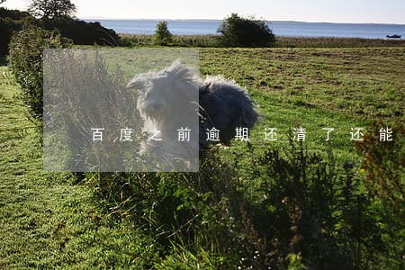 百度之前逾期还清了还能借吗 百度之前逾期还清了还能借吗