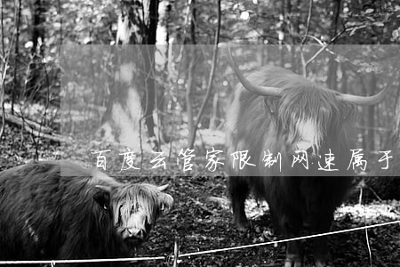 百度云管家限制网速属于违法的吗 百度云管家限制网速属于违法的吗