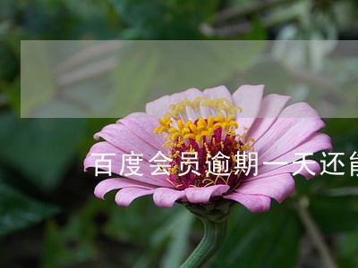 百度会员逾期一天还能续费吗 百度会员逾期一天还能续费吗