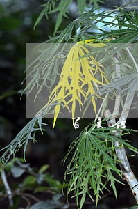 百度信用卡三万逾期了两个多月 百度信用卡三万逾期了两个多月