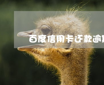 百度信用卡还款逾期 百度信用卡还款逾期