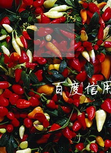 百度信用卡逾期一天算逾期吗 百度信用卡逾期一天算逾期吗