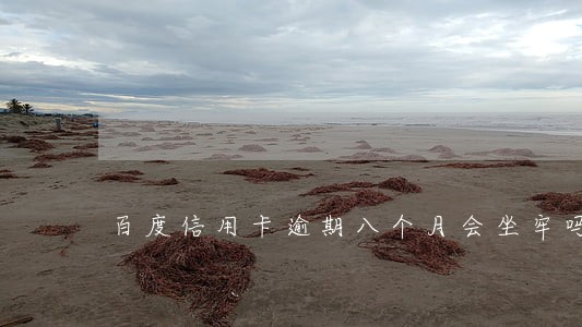 百度信用卡逾期八个月会坐牢吗 百度信用卡逾期八个月会坐牢吗
