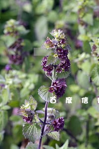 百度信用卡逾期多久上征信 百度信用卡逾期多久上征信