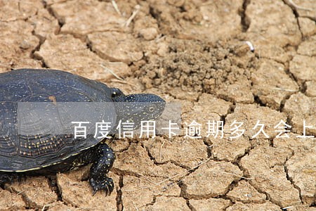 百度信用卡逾期多久会上门