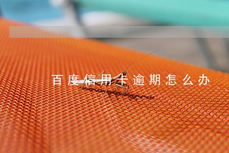 百度信用卡逾期怎么办 百度信用卡逾期怎么办