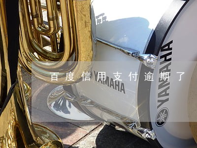 百度信用支付逾期了 百度信用支付逾期了