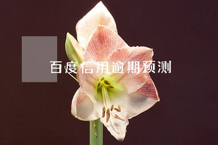 百度信用逾期预测 百度信用逾期预测