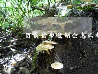 百度借条逾期会怎么样 百度借条逾期会怎么样