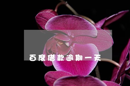 百度借款逾期一天 百度借款逾期一天