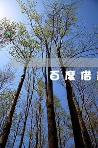百度借款逾期未还会怎么处理 百度借款逾期未还会怎么处理