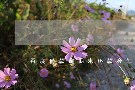 百度借款逾期未还款会怎样 百度借款逾期未还款会怎样