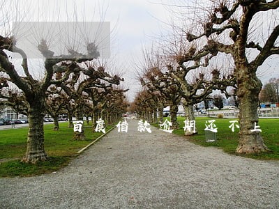 百度借款逾期还不上 百度借款逾期还不上
