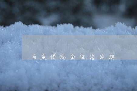 百度借现金征信逾期