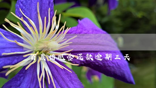 百度借现金还款逾期三天 百度借现金还款逾期三天