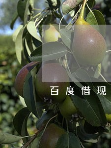 百度借现金逾期了怎么办 百度借现金逾期了怎么办