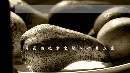 百度借现金逾期五个月立案 百度借现金逾期五个月立案