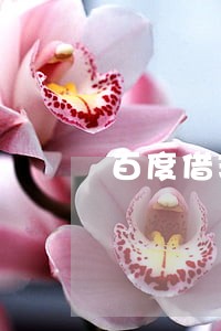 百度借现金逾期征信