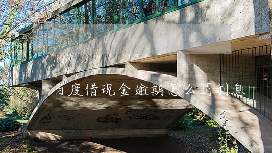 百度借现金逾期怎么罚利息 百度借现金逾期怎么罚利息
