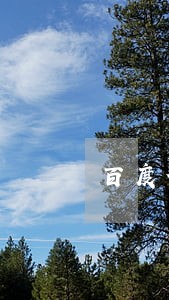 百度借贷宝逾期三月 百度借贷宝逾期三月
