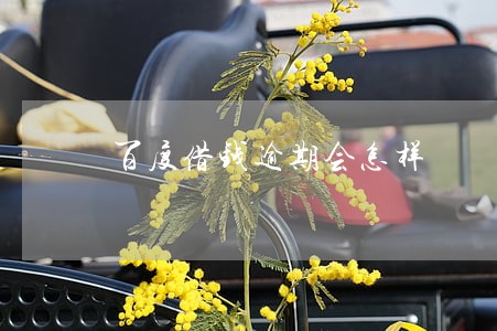 百度借钱逾期会怎样 百度借钱逾期会怎样