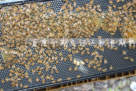 百度分期忘记还款逾期影响征信 百度分期忘记还款逾期影响征信