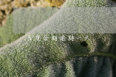 百度分期逾期一天 百度分期逾期一天