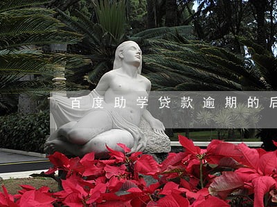百度助学贷款逾期的后果 百度助学贷款逾期的后果