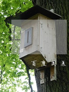 百度国美易卡不小心逾期了3天 百度国美易卡不小心逾期了3天