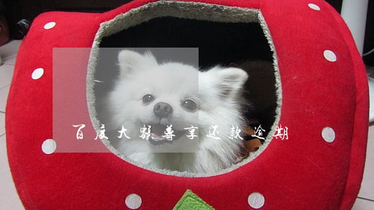 百度大额尊享还款逾期 百度大额尊享还款逾期
