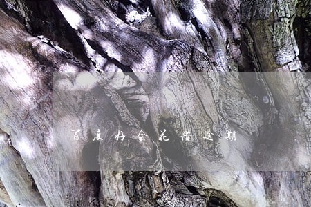 百度好会花借逾期 百度好会花借逾期
