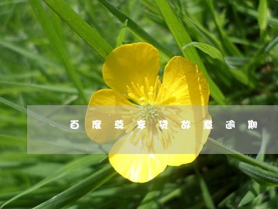 百度尊享贷故意逾期 百度尊享贷故意逾期