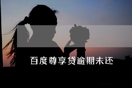 百度尊享贷逾期未还