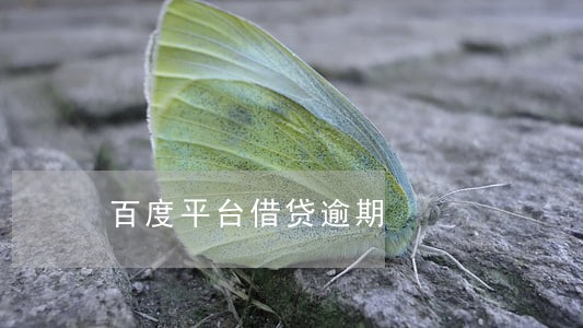 百度平台借贷逾期 百度平台借贷逾期